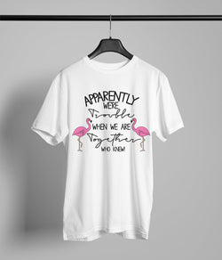 Trouble When We Are Together